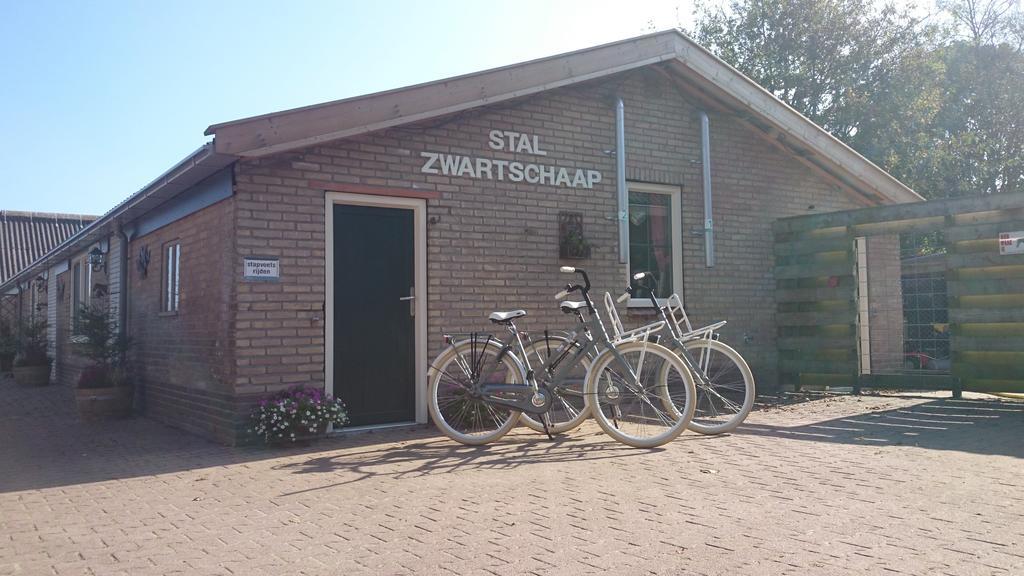 Stal Zwartschaap Apartment Stuifzand ภายนอก รูปภาพ