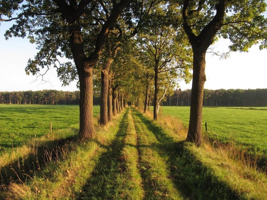 Stal Zwartschaap Apartment Stuifzand ห้อง รูปภาพ
