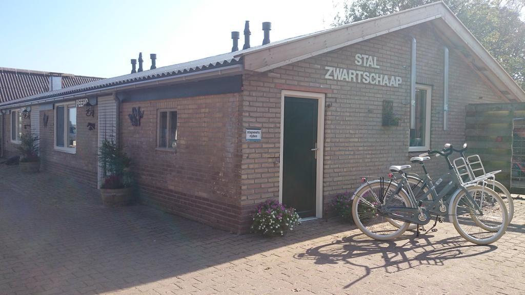 Stal Zwartschaap Apartment Stuifzand ภายนอก รูปภาพ